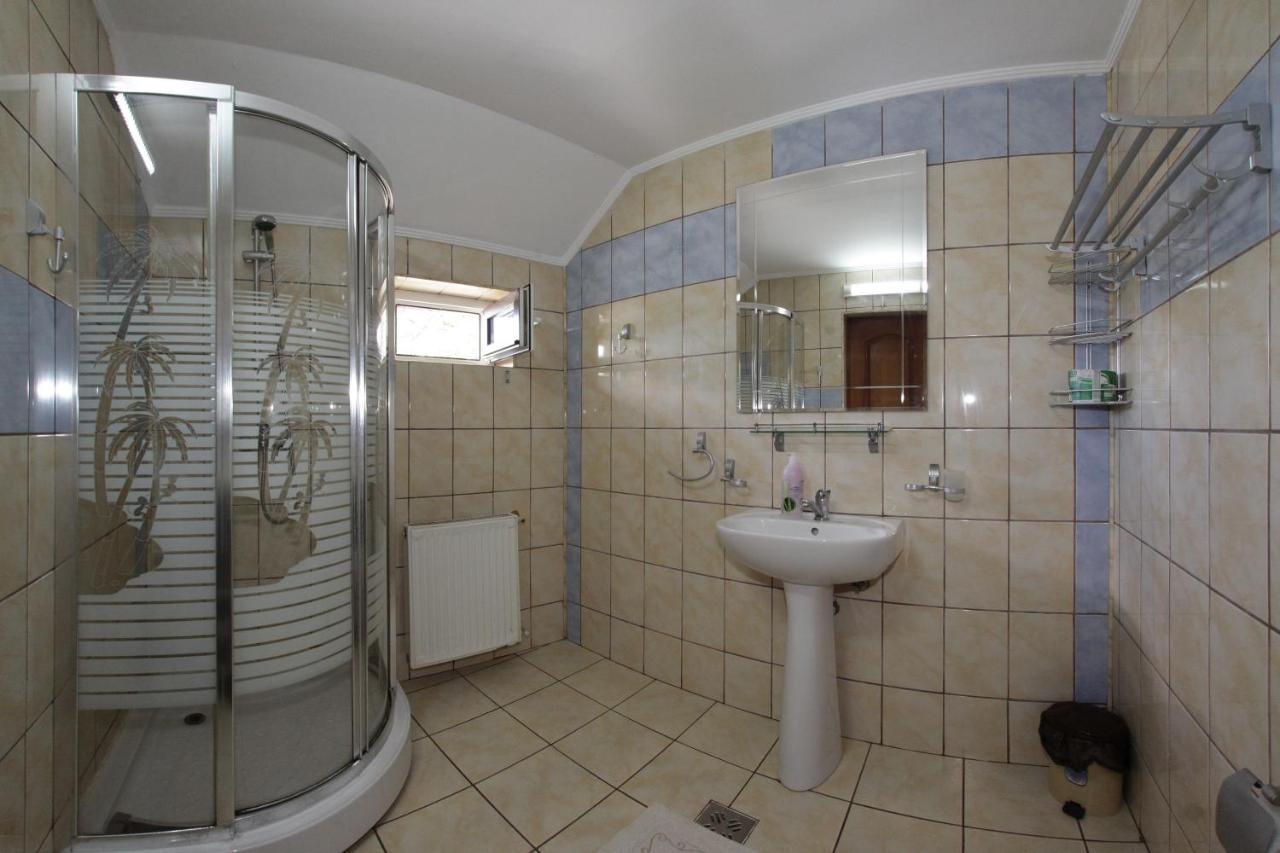 Pensiunea Lacramioara Săcel エクステリア 写真