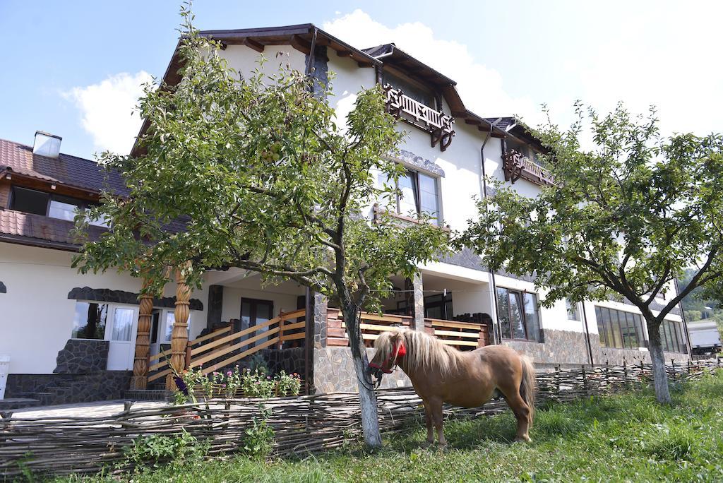 Pensiunea Lacramioara Săcel エクステリア 写真